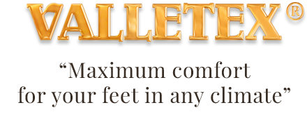 logo valletex