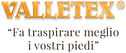 logo valletex