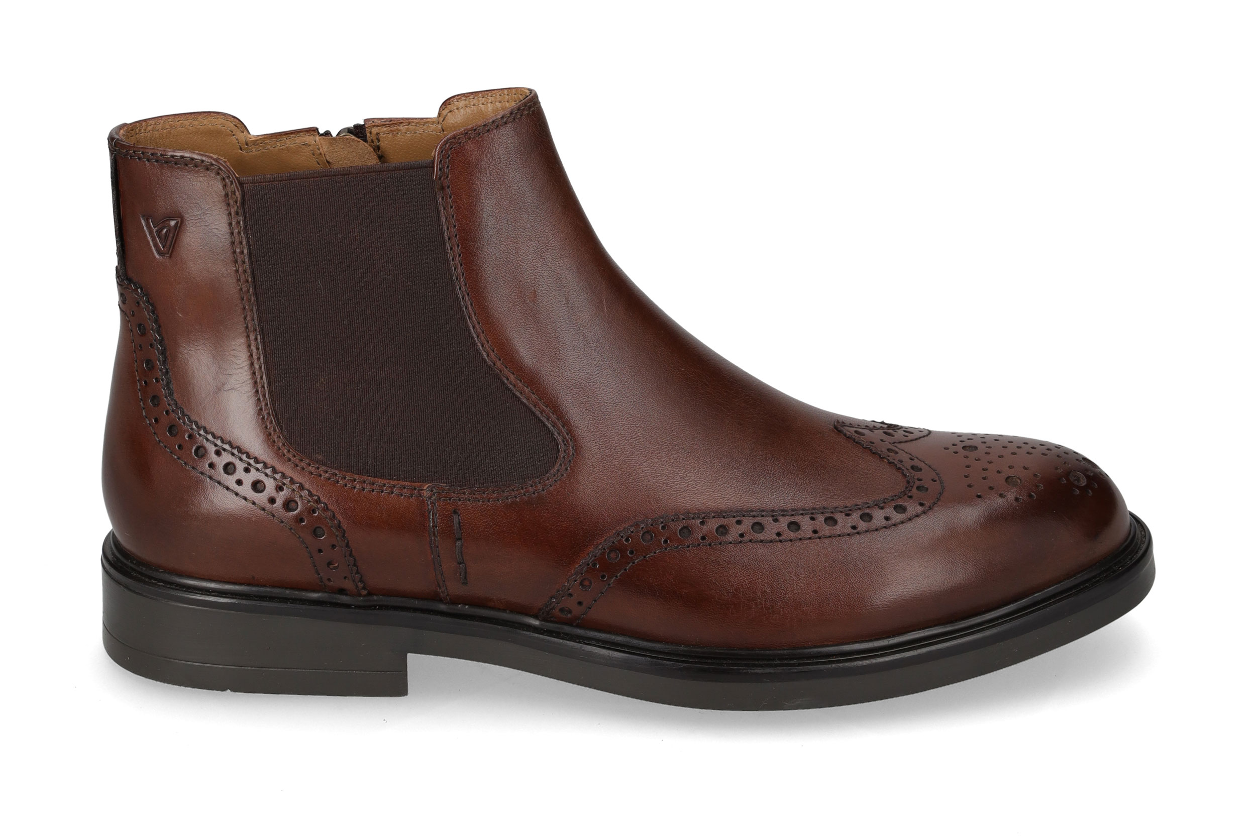 Polacco Vitello Marrone 17872