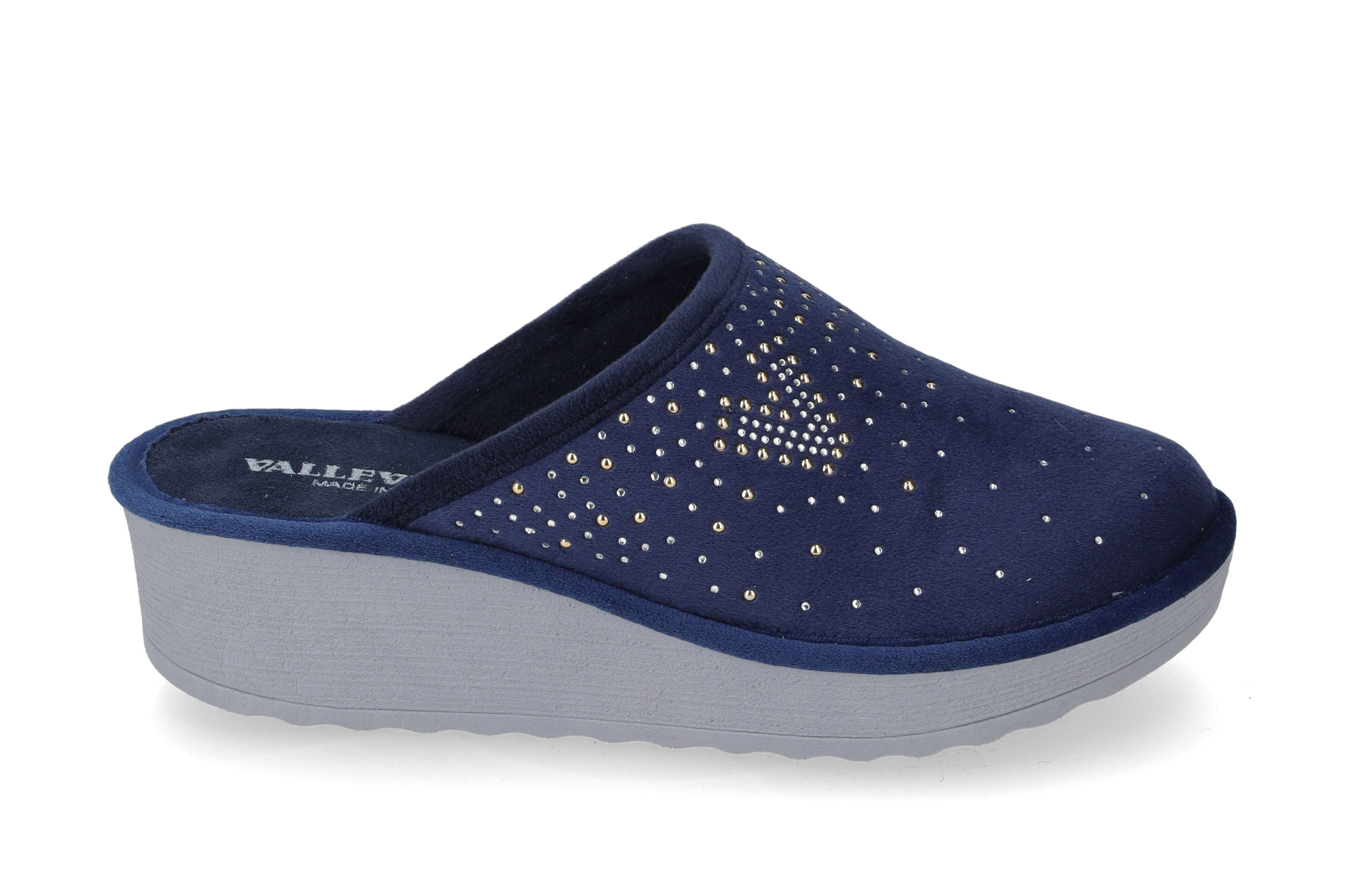 Blue Slipper 55200